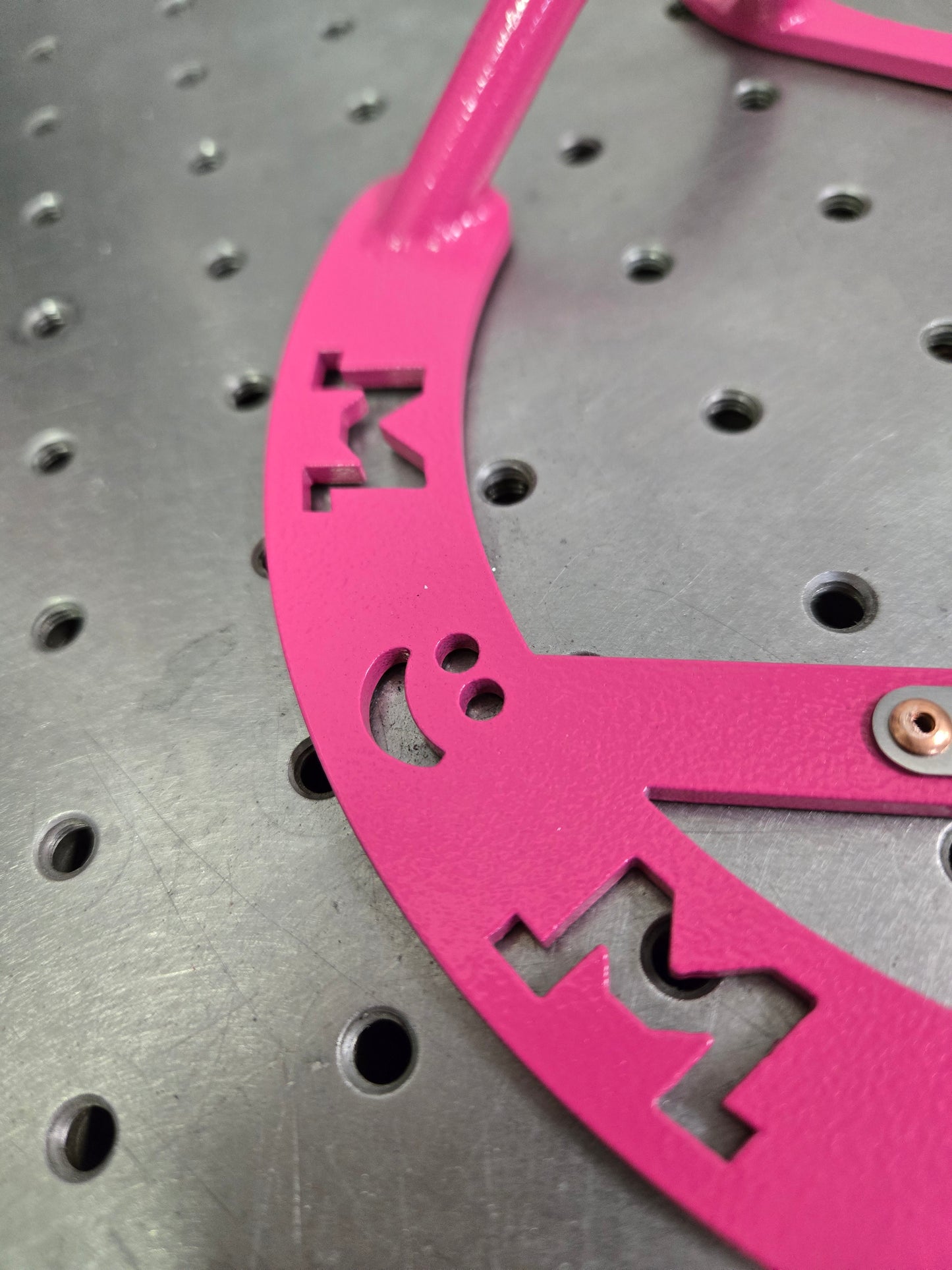 Disc guard Passion Pink